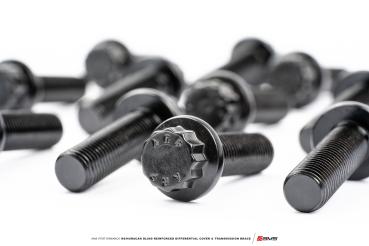 Preview: AMS PERFORMANCE R8/HURACAN DL800 REINFORCED DIFFERENTIAL COVER & TRANSMISSION BRACE