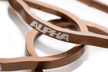 Preview: AMS PERFORMANCE V10 INTAKE MANIFOLD SEALING RING KIT