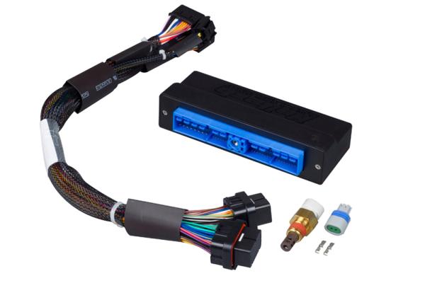 Elite 1000/1500 Nissan Silvia S14 S1 "ZENKI" Plug 'n' Play Adapter Kabelbaum