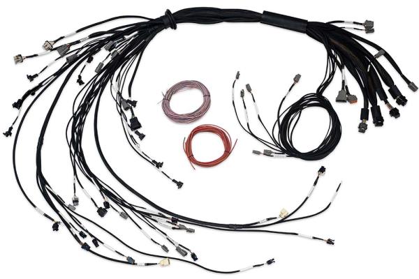 Nexus R5 LSx Nicht DBW Abgeschlossener Kabelbaum