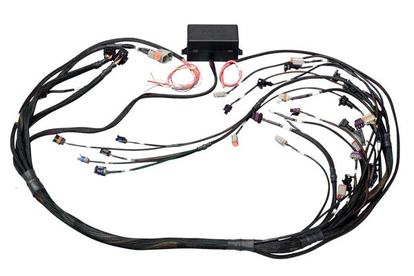 Elite 2500 GM GEN IV LSx (LS2/LS3 usw.) DBW Ready Terminated Harness